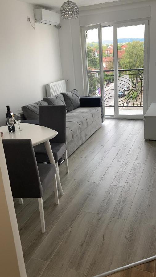 Apartman Katarina Banja Koviljaca Bagian luar foto